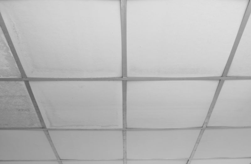 Ceiling Tiles Repair