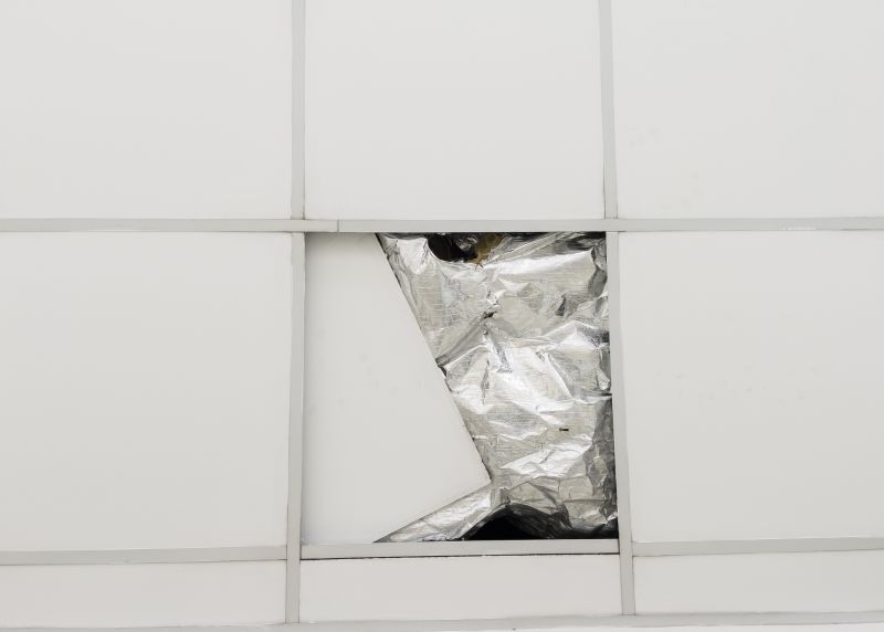 Ceiling Tiles Repair