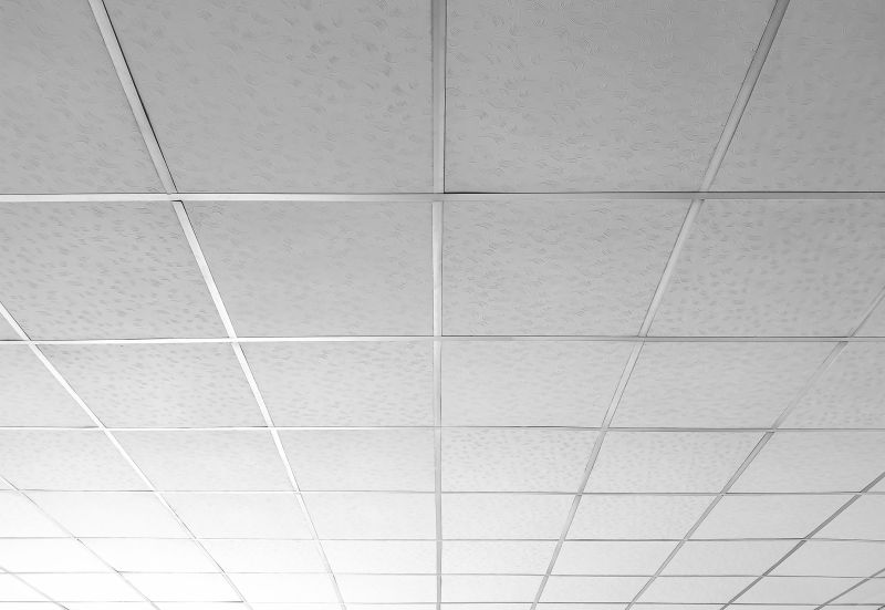 Suspended Ceiling Grid